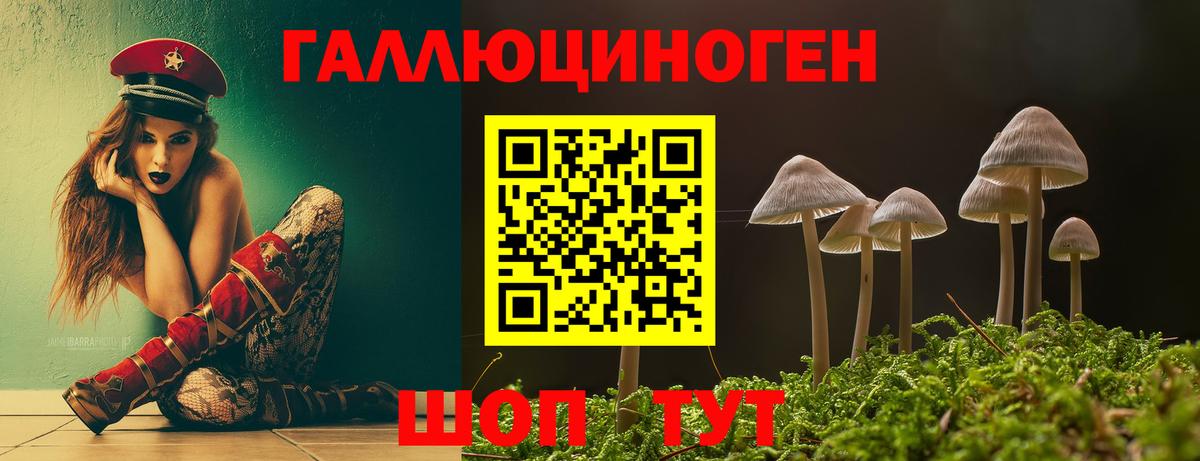 Магадан  Галлюциногенные грибы ЛСД  Вход с VPN  Псилоцибиновые грибы MAGIC MUSHROOMS 