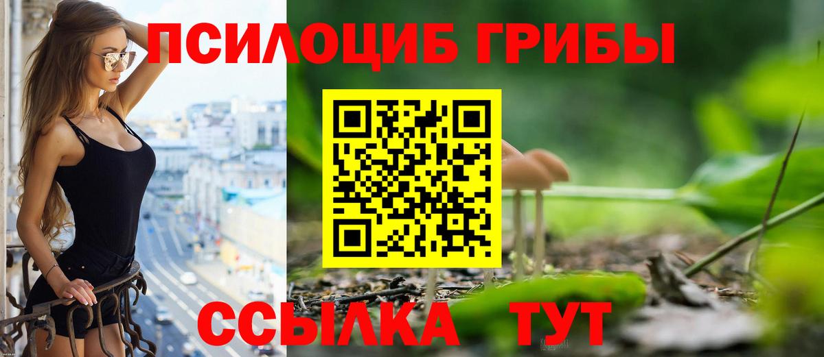 Галлюциногенные грибы мицелий Магадан